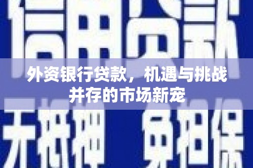 翁牛特旗外资银行贷款，机遇与挑战并存的市场新宠