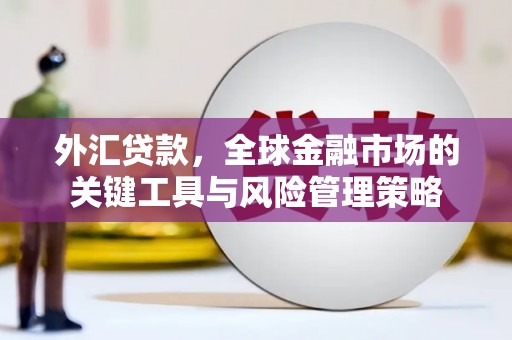 翁牛特旗外汇贷款，全球金融市场的关键工具与风险管理策略