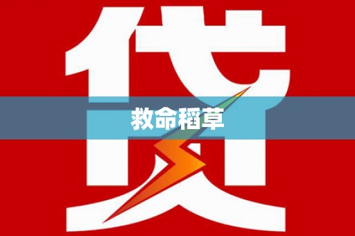 翁牛特旗救命稻草