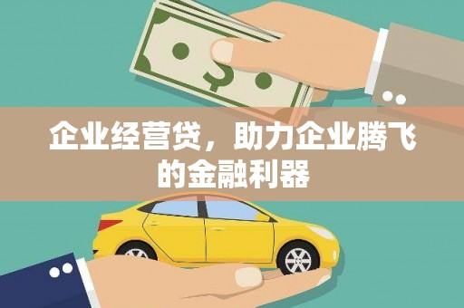 翁牛特旗企业经营贷，助力企业腾飞的金融利器