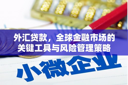 翁牛特旗外汇贷款，全球金融市场的关键工具与风险管理策略