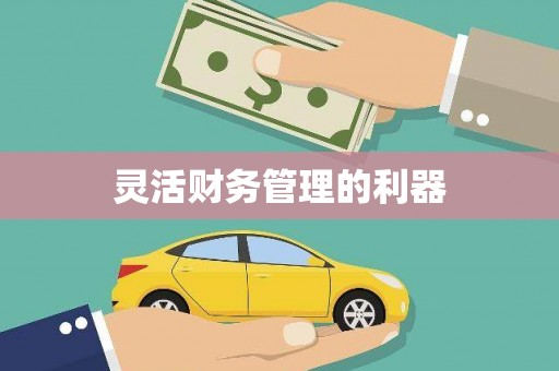翁牛特旗灵活财务管理的利器