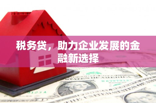 翁牛特旗税务贷，助力企业发展的金融新选择