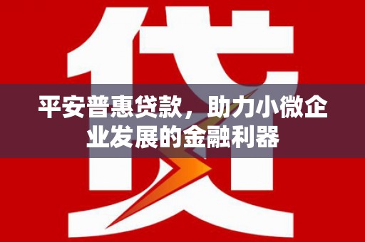 翁牛特旗平安普惠贷款，助力小微企业发展的金融利器