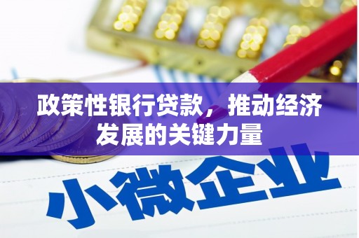 翁牛特旗政策性银行贷款，推动经济发展的关键力量