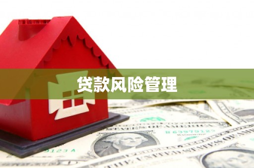 翁牛特旗贷款风险管理