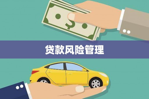翁牛特旗贷款风险管理