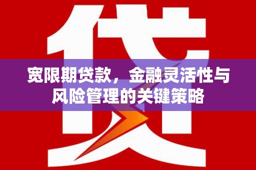 翁牛特旗宽限期贷款，金融灵活性与风险管理的关键策略