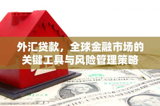 翁牛特旗外汇贷款，全球金融市场的关键工具与风险管理策略