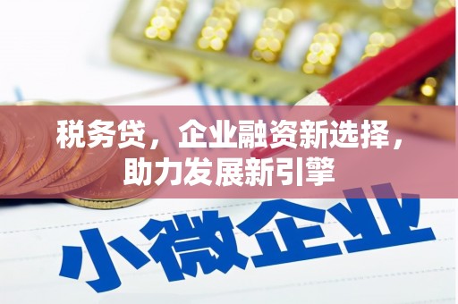 翁牛特旗税务贷，企业融资新选择，助力发展新引擎