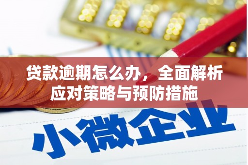 翁牛特旗贷款逾期怎么办，全面解析应对策略与预防措施