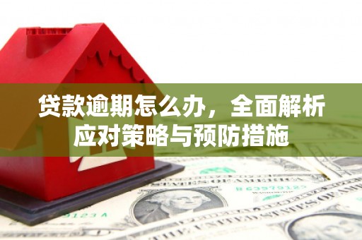 翁牛特旗贷款逾期怎么办，全面解析应对策略与预防措施
