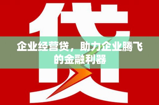 翁牛特旗企业经营贷，助力企业腾飞的金融利器
