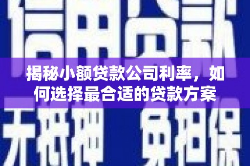 翁牛特旗揭秘小额贷款公司利率，如何选择最合适的贷款方案