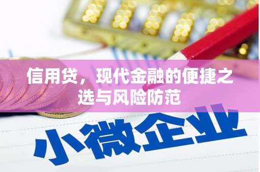 翁牛特旗信用贷，现代金融的便捷之选与风险防范