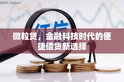翁牛特旗微粒贷，金融科技时代的便捷借贷新选择