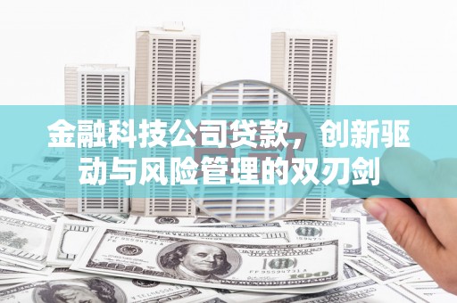 翁牛特旗金融科技公司贷款，创新驱动与风险管理的双刃剑